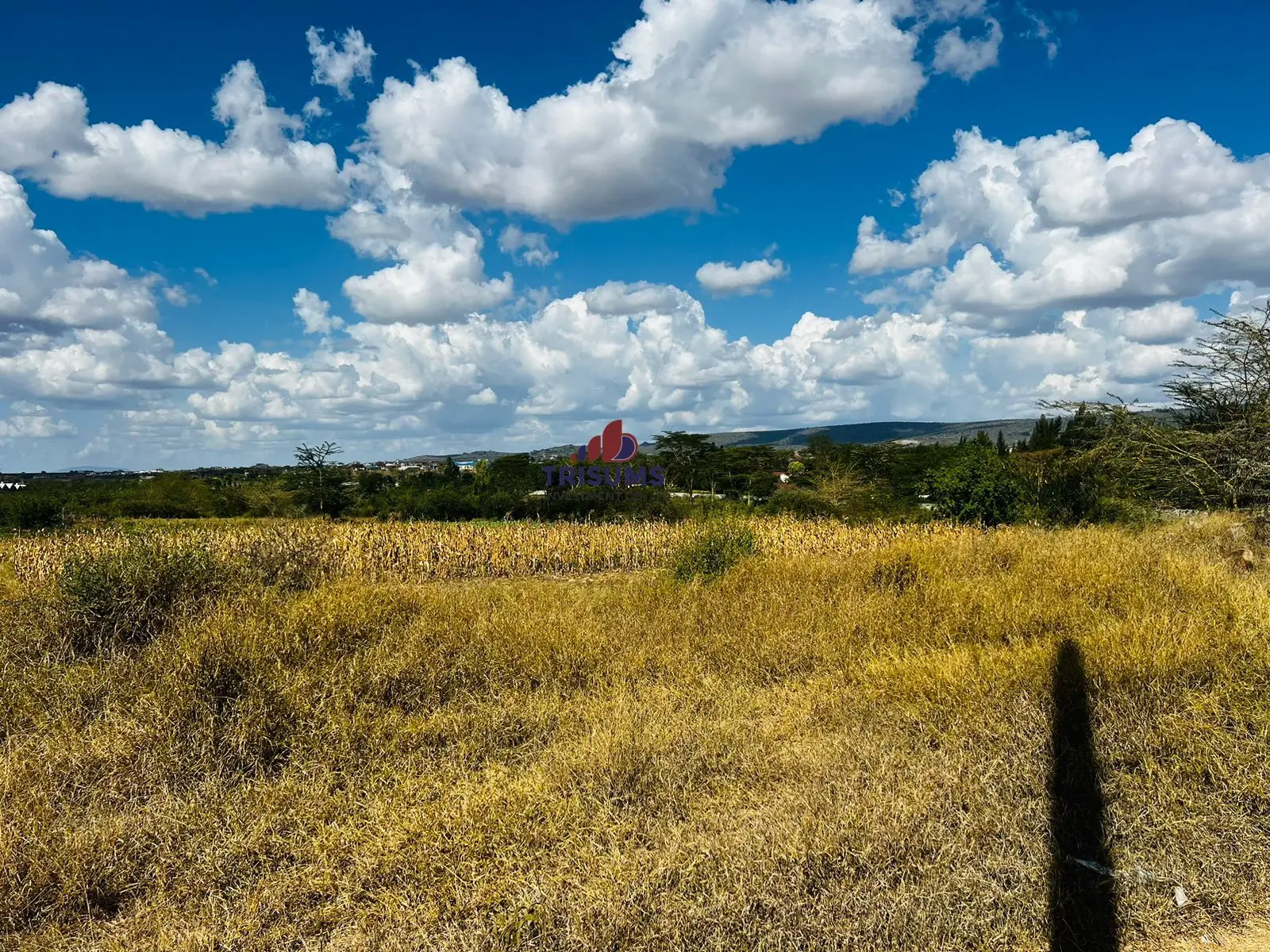 Prime 28-Acre Land for Sale in Athi River